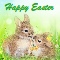 May Your Basket Be Full...