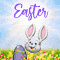 Bunny Wishing Happy Easter!