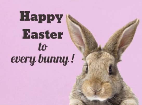 Happy Easter To Every Bunny!! Free Fun eCards, Greeting Cards | 123