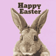 Happy Easter To Every Bunny!!