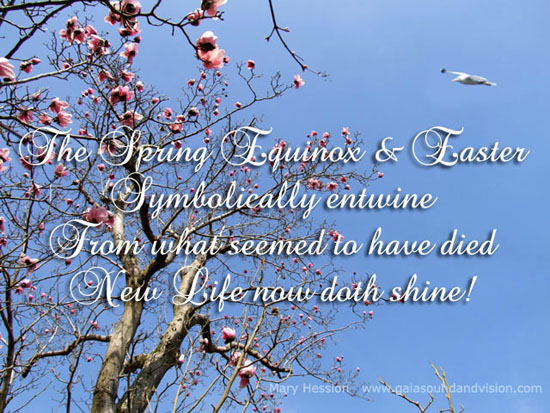 Spring And Easter. Free Poems & Quotes eCards, Greeting Cards | 123