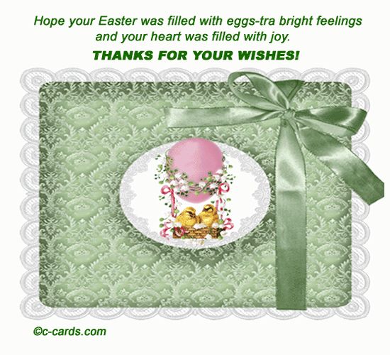 Eggs-Tra.