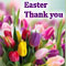 Easter Thank You With Colorful Tulips!