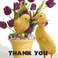 Thanks For Your Easter Wishes.