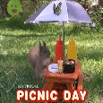 It’s Time For A Picnic.