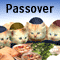 Happy Passover For The Family!