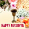 Celebrate Passover With Love %26 Joy!