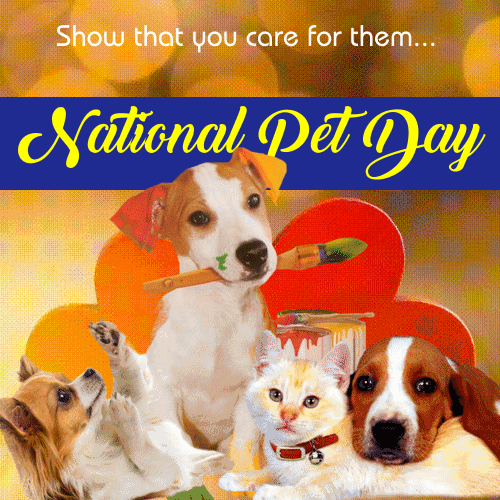 Show That You Care For Them! Free National Pet Day eCards 123 Greetings