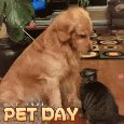 Today Is National Pet Day!