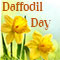 Daffodil Bring New Smiles, New Hopes.