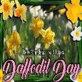 A Happy Daffodil Ecard For You.