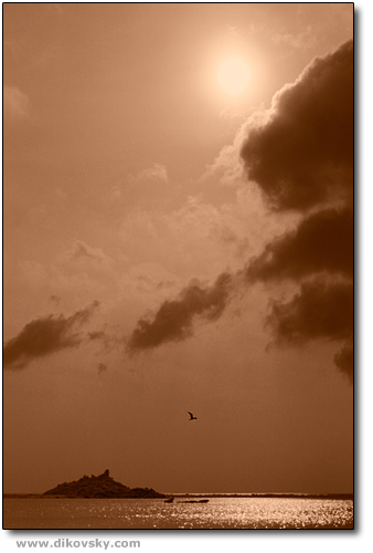 Light Of The Sky.