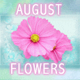 August Flowers!