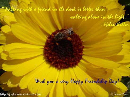 Friendship Sunflower. Free Flowers eCards, Greeting Cards | 123 Greetings