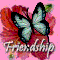 The Sweetness Of Our Friendship.