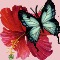 Home : Events : Friendship Day [Aug 5] : Flowers - When I Am With You Greeting Cards.