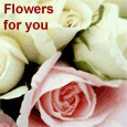 Flowers For Your Dear Friend.