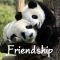 A Wonderful Friend.