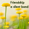 Friendship Is A Silent Bond!