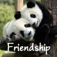 A Wonderful Friend.