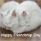 Friendship Day Fun!