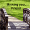 Missing A Friend On Friendship Day...