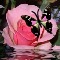 Home : Events : Friendship Day [Aug 5] : Poems & Quotes - A Friend Like You Greeting Cards.
