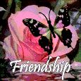 Home : Events : Friendship Day [Aug 5] - A Friend Like You.
