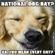 Every Day Is National Dog Day.