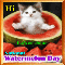 Let%92s Celebrate Watermelon Day!