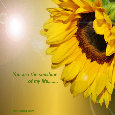 Home : Events : Romance Awareness Month [August] - You Are My Sunshine.