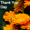 Warm Wish On Thank You Day.