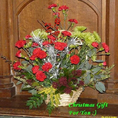 Christmas Gift For You.