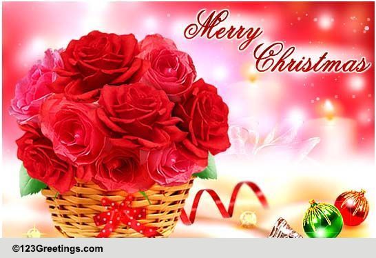 Christmas Roses! Free Flowers eCards, Greeting Cards  123 Greetings