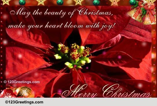 Beautiful Christmas Flower Free Flowers eCards, Greeting Cards  123 Greetings