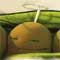 Sleeping Heavenly Peas!