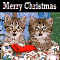 Singing Kittens.