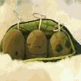 Sleep In Heavenly Peas.