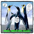 Penguin Christmas.