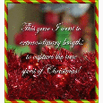 Christmas Spirit Captured!