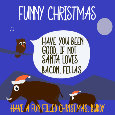 Funny Christmas, Boars.