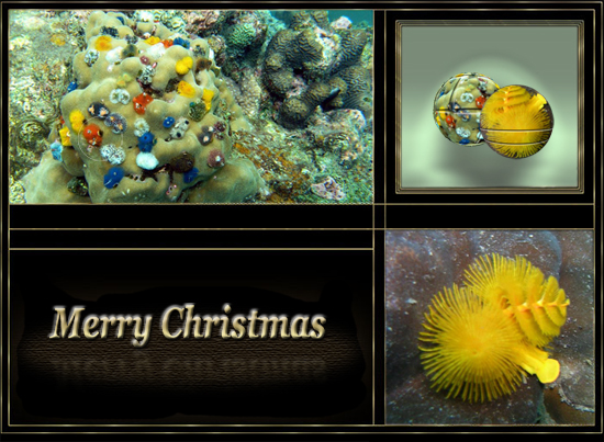 Colorful Underwater Christmas.
