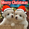 Christmas Hugs %26 Cute Puppies!