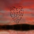 Vision Of Love, A Vision Of The Univ.