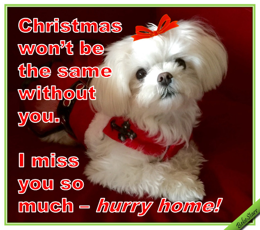Christmas Won’t Be The Same. Free Miss You eCards, Greeting Cards  123