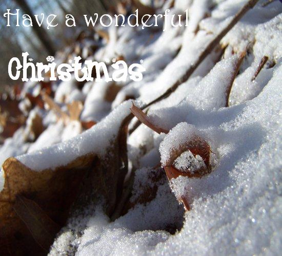 Have A Wonderful Christmas! Free Merry Christmas Wishes eCards | 123 Greetings