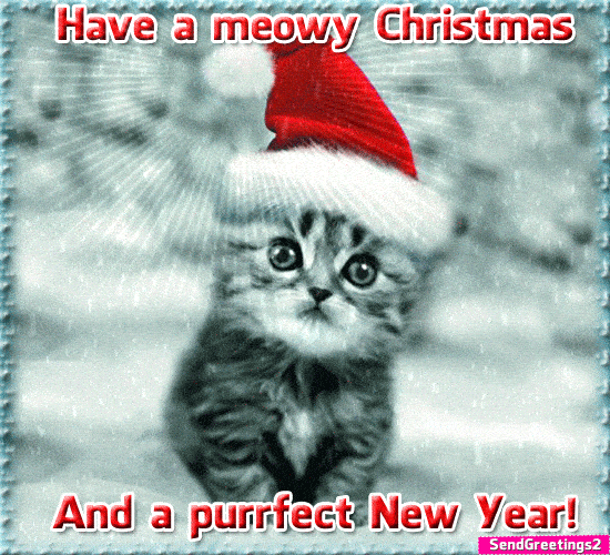 Have A Meowy Christmas.
