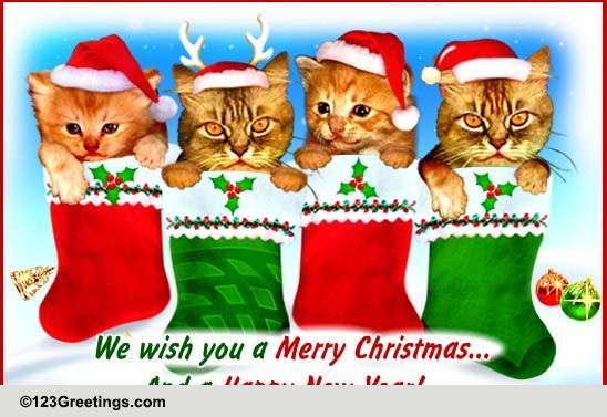 Kitten's Singing X'mas Carol! Free Merry Christmas Wishes eCards | 123