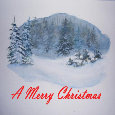 Christmas Snow Time.