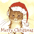 Merry Christmas Kitty.